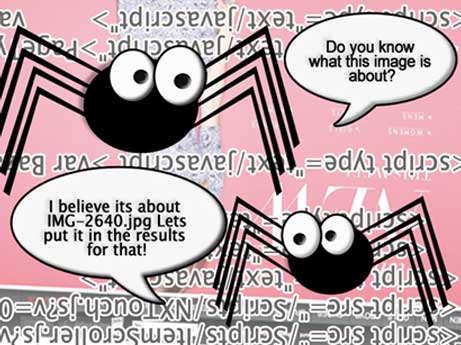 Google Spiders