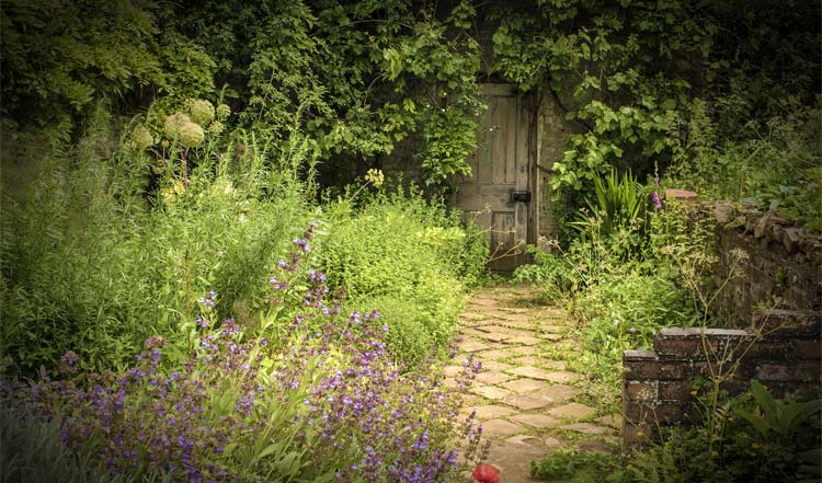 A secret garden - photo