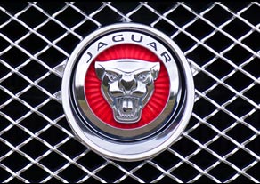 Jaguar logo