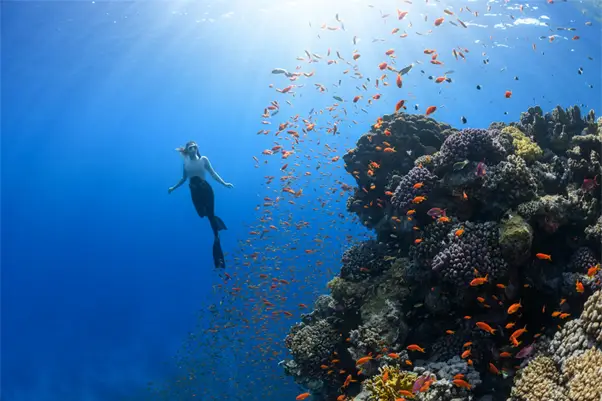 Adventure Travel Ecommerce Trends & Strategies - supporting image - woman diving