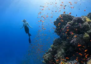 Adventure Travel Ecommerce Trends & Strategies - supporting image - woman diving